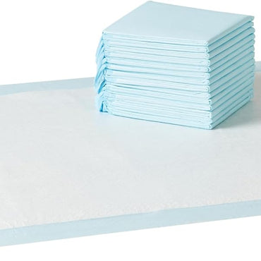 Basics Leak-Proof Dog and Puppy Potty Training Pee Pads with Quick-Dry 5-Layer Super Absorbent Design for Housebreaking, Regular Size 22x22